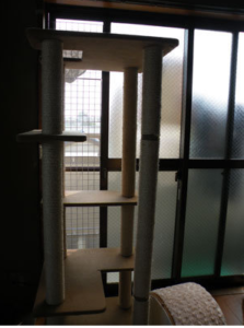 猫さんの脱走防止策。 キャットシッターりあん